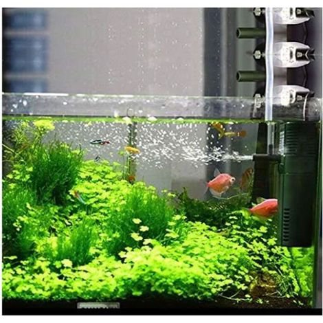 Pompa filtro interna per acquario con lancia spruzzatrice per acquario da 300L (300L/H 2W) (1/4)