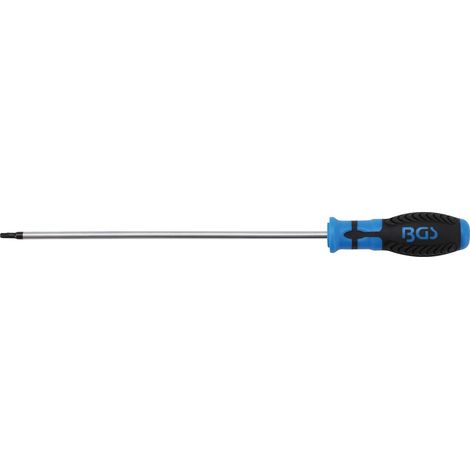 BGS Tournevis profil T (pour Torx) T25 longueur de la lame 250 mm (1/4)