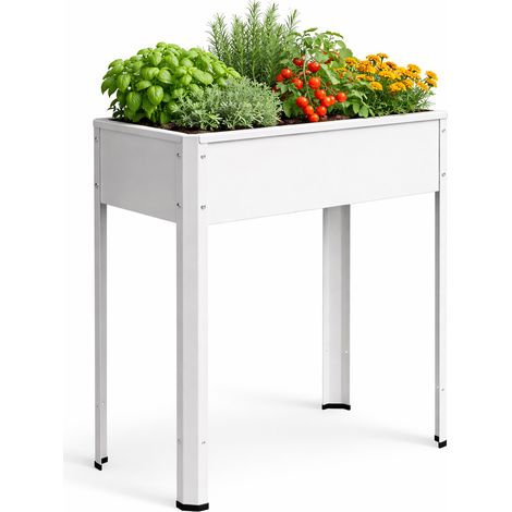 Pflanzkasten Hochbeet 80x35 Balora L