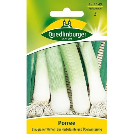 Quedlinburger Porree Blaugrüner Winter - Gemüsesamen (1/2)