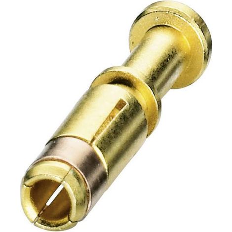 Contatto a crimpare per serie P20 1607658 ST-20KS020 Oro Phoenix Contact Contenuto: 1 pz.