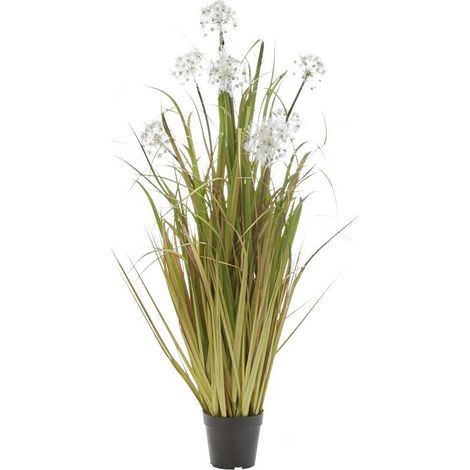 Gras im Topf 90cm mit Puste- blume grün/braun