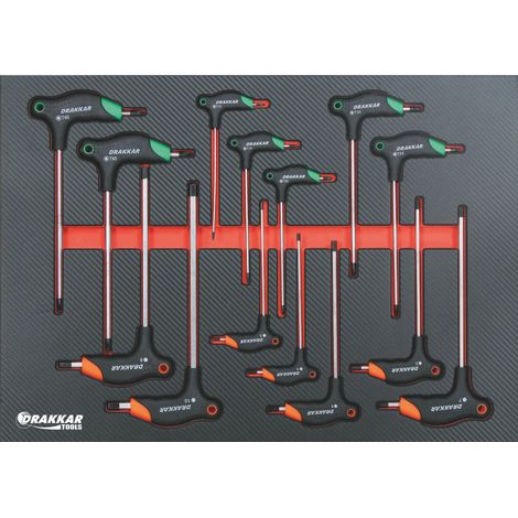Module mousse 567x402mm carbone tournevis avec poignée en T Hex/Torx® - 14 pcs - Ce produit de marque DRAKKAR est neuf.