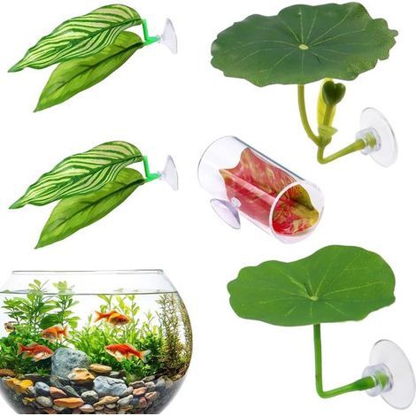 Betta-Bett- und Tunnelset – 5-teilig – Grün – Betta-Unterschlupf – Aquariumdekoration mit Saugnapf (1/5)