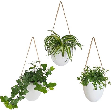 Set of Ceramic Hanging Flower Pots, Decorative Plant Stand, Wall Decoration, Living Room Home, Plant Holder Scandinavian Deco Corridor (1/5)