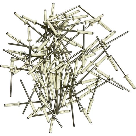 250 rivets etoiles trilobes blancs de 4 x 18