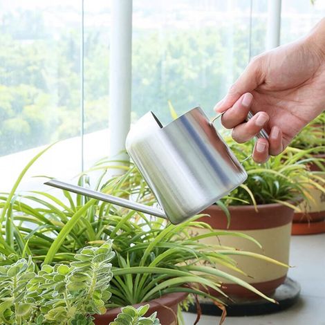 Arrosoir à long bec en acier inoxydable, petit arrosoir, adapté aux plantes succulentes et aux fleurs, usage intérieur et extérieur (300 ml, argent) (1/5)