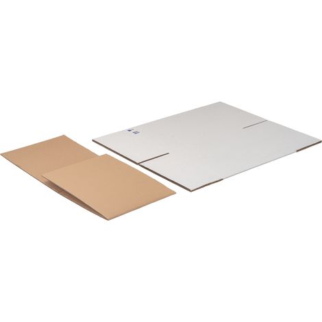 Carton extérieur 115938 R