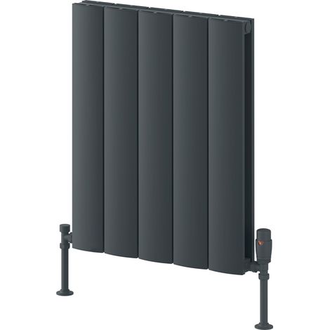 Reina Loco Double Horizontal Aluminium Radiator 600mm H x 470mm W - Anthracite