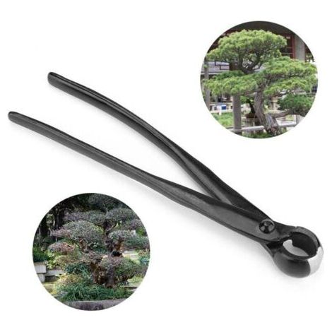 Pince à bonsaï, concave, coupe droite – acier inoxydable (1/4)