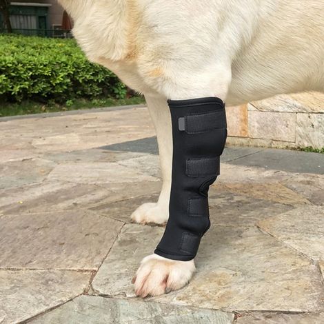 Genouillères pour Chien, 1 PC de protège-plaie Chirurgical pour blessure corporelle pour Chien(S) (1/4)