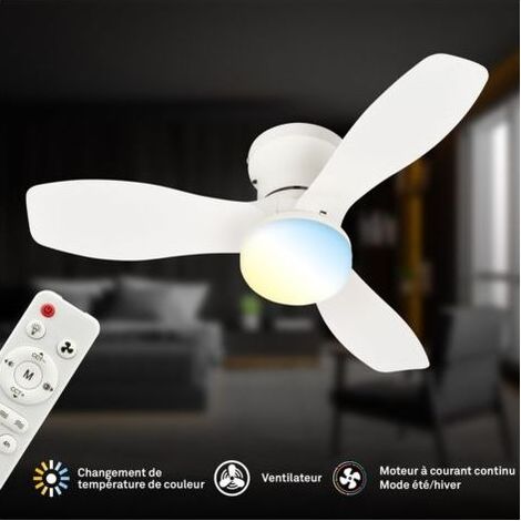 Ventilateur de plafond télécommande Ø60x19cm 15W 1700lm 3000K-6500K blanc chaud à blanc lumière du jour moteur DC blanc - Ventilateur lampe chambre salon (1/5)