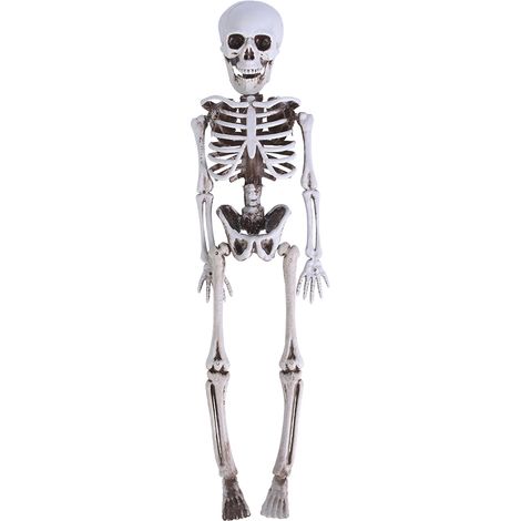 Squelette Humain Réaliste 40cm - Décoration Halloween Effrayante pour Fête Thème Chambre Horreur (1/5)