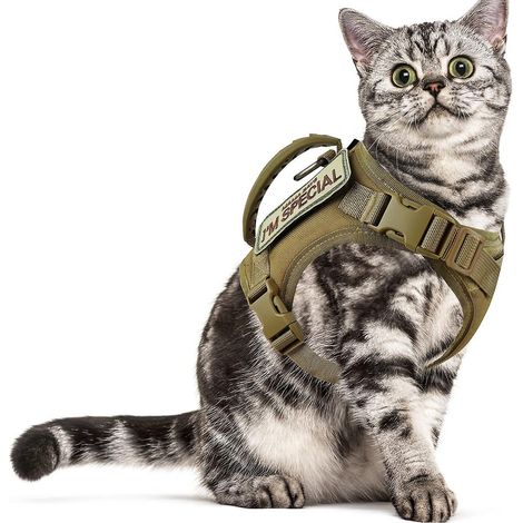 Harnais et laisse tactiques pour chat, harnais-gilet souple et réglable anti-fugue pour grand chat, harnais en maille respirante pour petit chien (1/5)