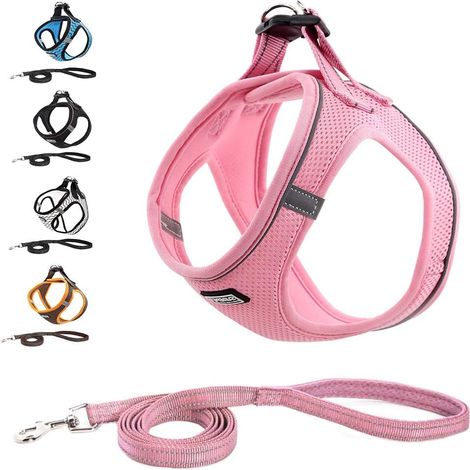 Harnais Chien Réfléchissant Respirant avec Laisse, Step-in Harnais pour Chiens Chats, Gilet Rembourré Confort Mesh Doux pour Petite Chiens pour Marcher, Courir, Formation (M, Rose) (1/5)