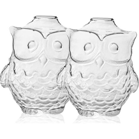 -Vase Hibou en Verre pour Plantes Hydroponiques Support De Fleurs Élégant Et Robuste pour La Maison (1/5)