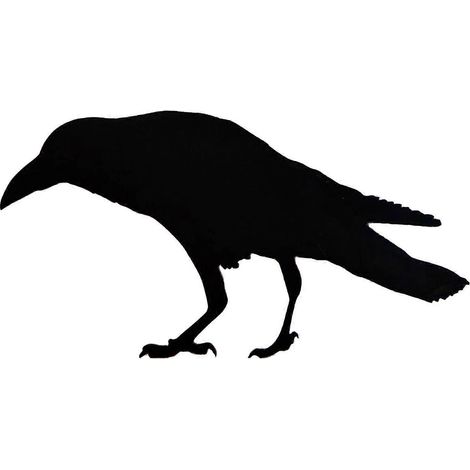 Ornement d'Halloween réaliste, attrayant, vif, texture fine, résistant à l'usure, décoration Diy d'Halloween, faux corbeau noir, oiseau, jouet corbeau, déguisement (1/5)