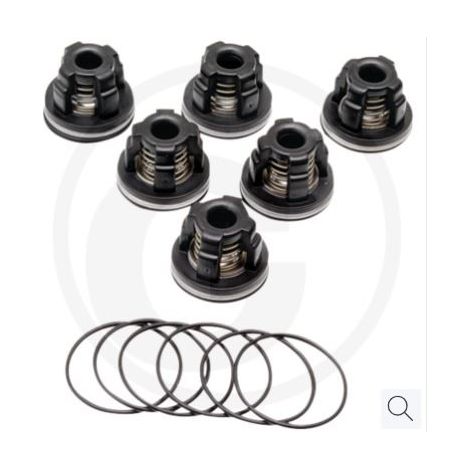 Kit valvole O-ring per pompa a membrana AR45 bp C blue flex ANNOVI 67042524