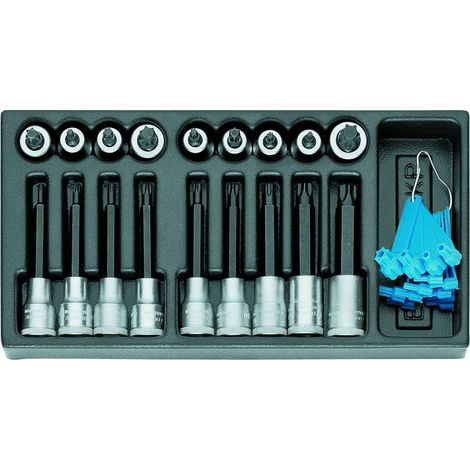 GEDORE 1500 ES-ITX 19 LKP Satz Schraubendrehereinsätze 1/2" in 1/3 ES-Modul (1/4)