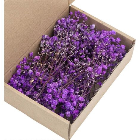 Lot de 50 fleurs de gypsophile séchées réalistes multicolores pour la confection de couronnes centres de table et décorations - 9 (1/5)