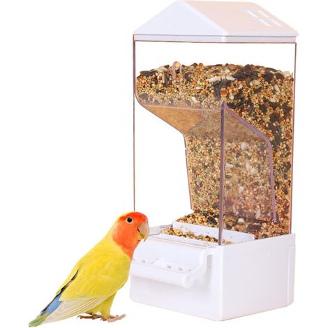 Mangeoire à oiseaux automatique pour cage, mangeoire à oiseaux non déversés Dispensateur clair de l'alimentation paraket Drinker à récipient alimentaire, accessoires anti-déversement pour la cour (1/5)