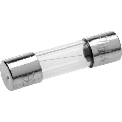 Fusibile in Vetro 5x20 4A 250V Ritardato