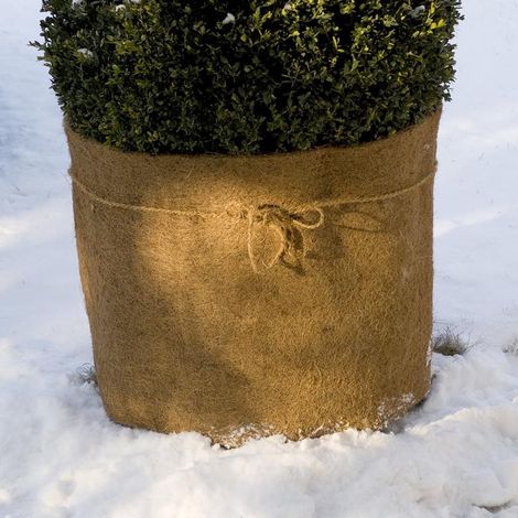 floraworld Kokos-Schutzmatte 1,5 x 0,5 m - -