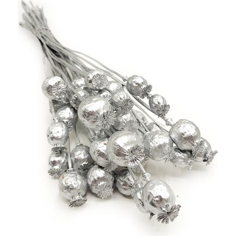 Semillas de amapola secas (Papaver) - Plata (1/4)