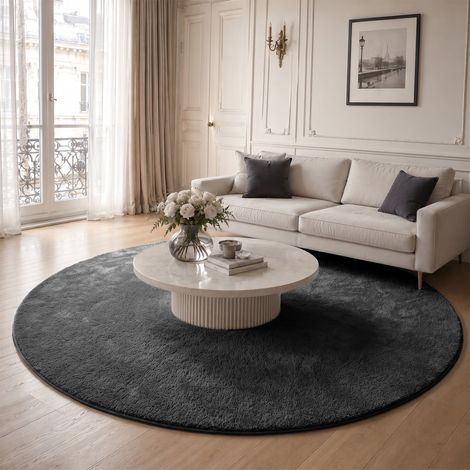 VOUNOT® Alfombra Moderna para Salón ф200cm, Antracita