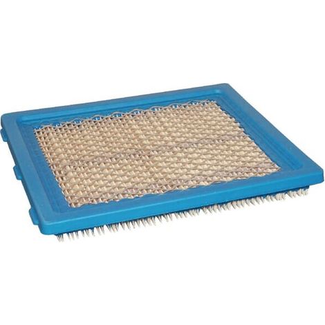 Filtro Air BRIGGS et STRATTON 805113