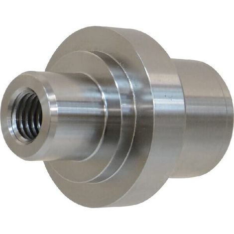 Pivot SPICER DANA 3429319M1N