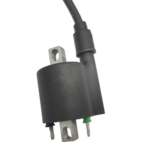 Ignition coil accessories for Regalraptor 350 motorcycles with high-voltage transformer 281409721D12A.