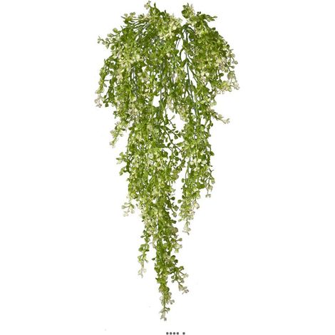Chute de crassula artificiel H 85 cm (1/3)