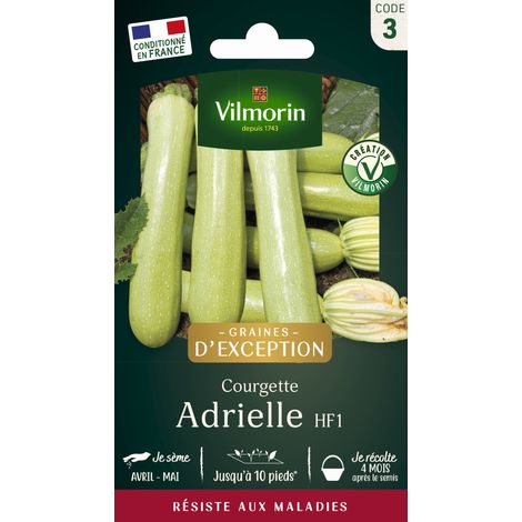 Courgette Adrielle HF1 - Graines d'Exception Vilmorin (1/2)