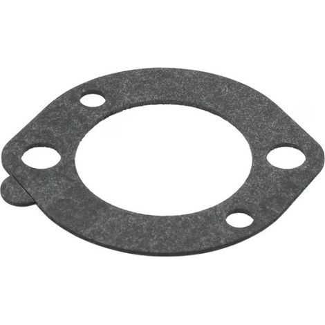 Joint De Carb./Filtre A Air Briggs et Stratton - 696024