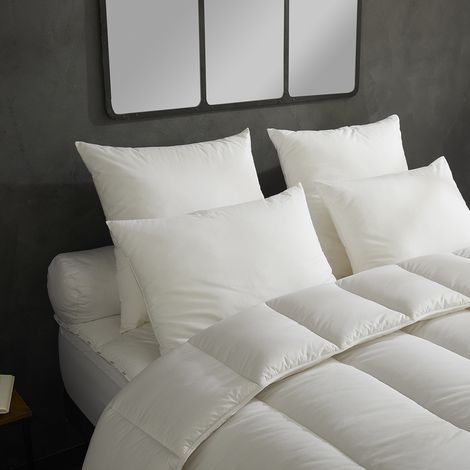 Dodo – Lot de 2 oreillers moelleux 60x60 – Enveloppe 100% coton – Garnissage polyester fibres creuses – Confort optimal pour dormir sur le ventre