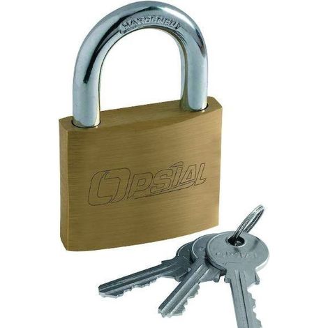 Cadenas à clé laiton varié - Largeur du coffre : 45 mm - Hauteur de l'anse : 24,3 mm - jardiboutique