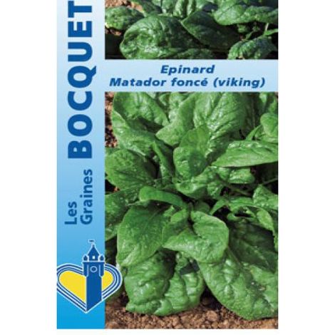 Epinard 'Matador' le sachet de 500 graines (8g) (1/2)
