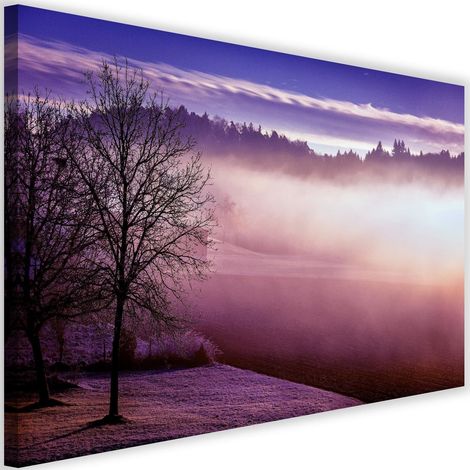 Tableau sur toile Brouillard sur le lac Violet 60x40 (1/5)