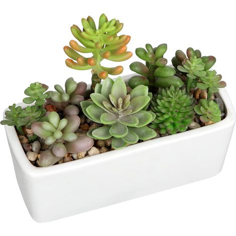 Plantes succulentes artificielles dans un pot en céramique blanche - Mélange de plantes grasses artificielles en pot rectangulaire pour bureau, maison, salle de bain - Décoration d'étagère (1/5)