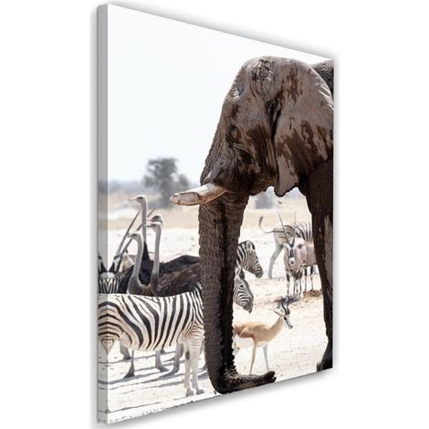 Tableau sur toile Eléphant Afrique Animaux Nature 40x60 (1/5)