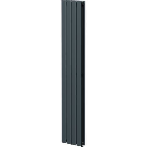 Hudson Anthracite 1600mm x 300mm Double Panel Radiator (1/5)