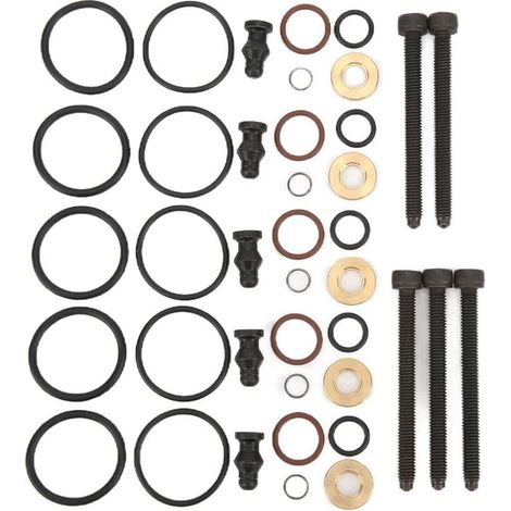 Kit de joints d'injecteur de carburant de voiture avec 5 boulons 038198051B de remplacement pour 2.5TDI R5 128kw 174hp 2003-2010 (1/4)