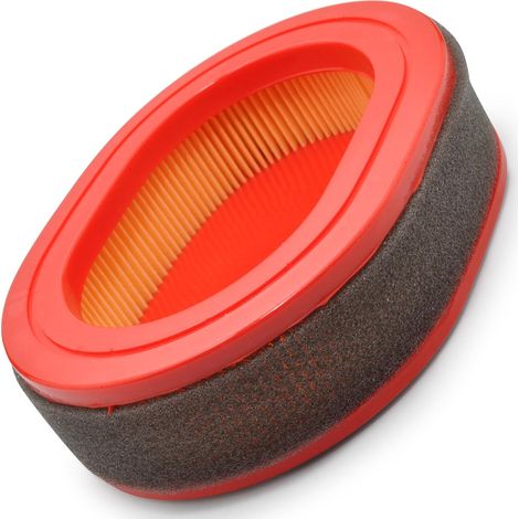 filtre à air pour tondeuse McCulloch moteur GGP 577616016 – 579829013 compatible avec les modèles 150RCLASSIC - M51 - M53 - M56 - RV150 (1/5)