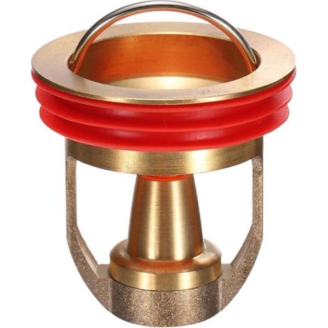 Noyau de vidange de sol de douche, anti-refoulement de sol de douche, anti-odeurs avec anneau en caoutchouc, convient pour la maison, la salle de bain, la cuisine (1/4)
