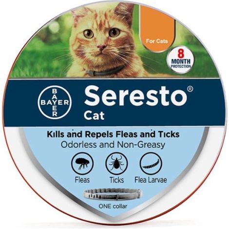 Cat - Anti-Flea and Anti-Tick Halsband för katter (1/4)