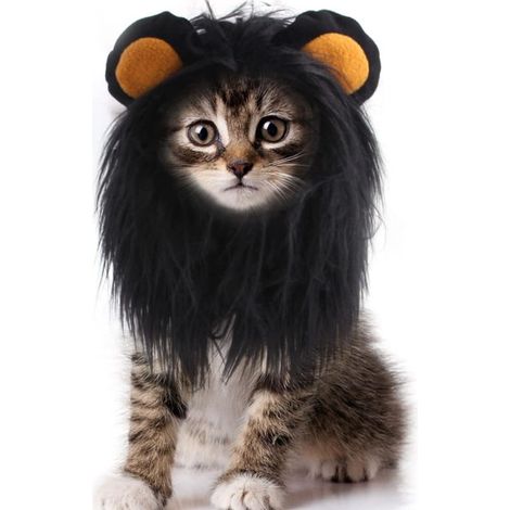MIMOSON-Dog Costume Lion Mane Pet Wig Lion Mane with Ears Lion Hair Headwear for Cat Dog Adjustable Cute Cosplay Costume for Halloween Christmas Easter Festival Party (1/5)