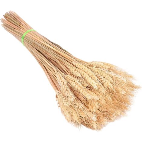 Tiges De Blé Séchées - 100 Pièces - 40 cm - Décoration Naturelle Pour Couronne Noël, Table De Mariage, Vase Et Composition Automnale (1/5)