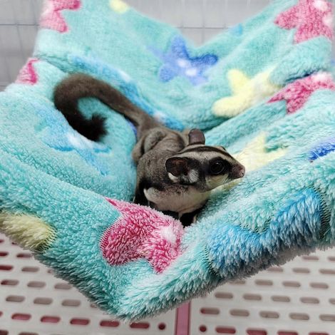 Nid suspendu pour hamster, lit de couchage chaud pour petits animaux, maison pour chinchilla - marron (1/4)