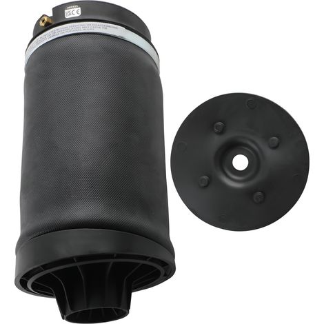 Sospensione Pneumatica Molla pneumatica for MERCEDES R W251 V251 2513200425 (1/5)